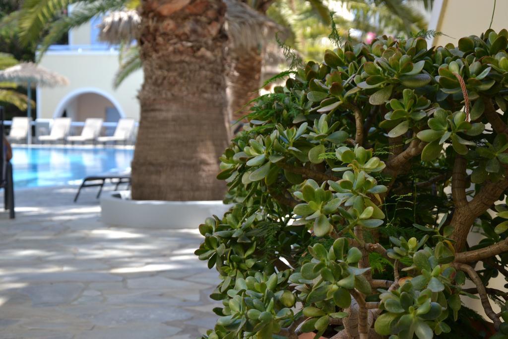 Zephyros Hotel Kamari  Exterior photo
